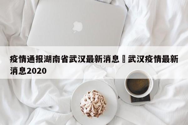 疫情通报湖南省武汉最新消息›武汉疫情最新消息2020