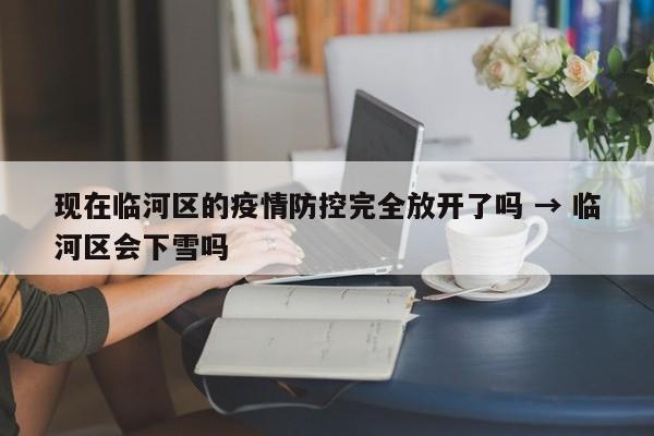 现在临河区的疫情防控完全放开了吗 → 临河区会下雪吗