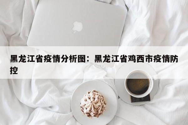 黑龙江省疫情分析图:黑龙江省鸡西市疫情防控