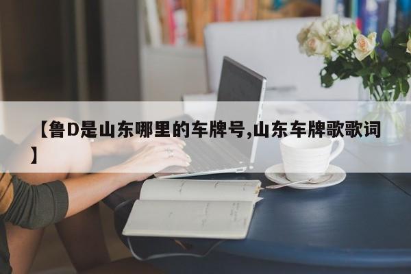 【鲁D是山东哪里的车牌号,山东车牌歌歌词】