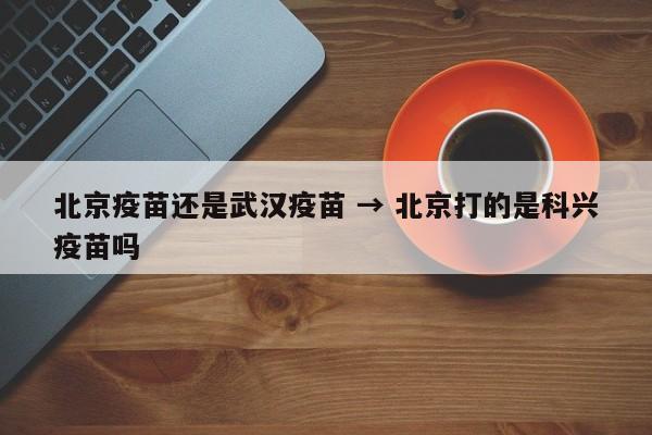 北京疫苗还是武汉疫苗 → 北京打的是科兴疫苗吗