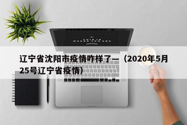 辽宁省沈阳市疫情咋样了—(2020年5月25号辽宁省疫情)