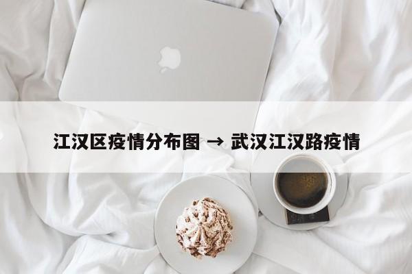 江汉区疫情分布图 → 武汉江汉路疫情
