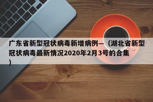 广东省新型冠状病毒新增病例—(湖北省新型冠状病毒最新情况2020年2月3号的合集)