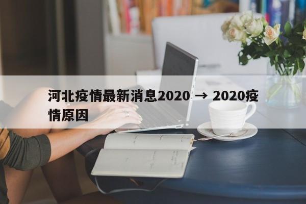 河北疫情最新消息2020 → 2020疫情原因