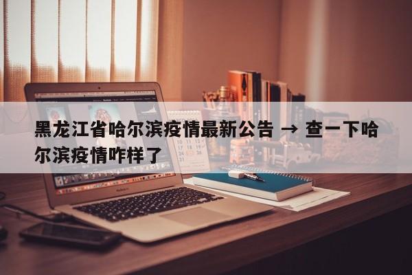 黑龙江省哈尔滨疫情最新公告 → 查一下哈尔滨疫情咋样了