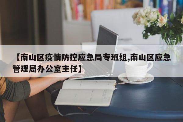 【南山区疫情防控应急局专班组,南山区应急管理局办公室主任】